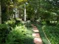 We can install new irrigation system in existing yard, grass, flowers, beds
