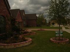 Stone with bricks border beds