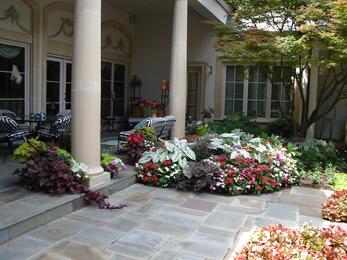  The square tiles patio overhanging some of the vines from pots shown above ties the two elements together visually. Lush foliage and colorful.