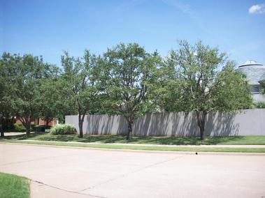 Clean Green pruning,trimming stump remval services to the trees, hedges, shrubs, groundcover, palm trees, vines, grasses, ornamental trees, and much more.