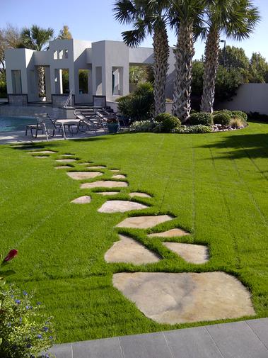 Fertilizers are natural organic such as manure or lawn food, winterizing preparation