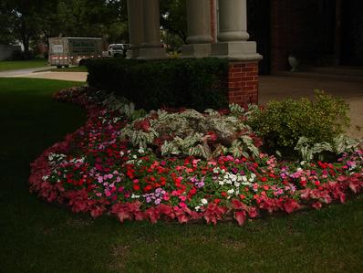 Summer flower bed color